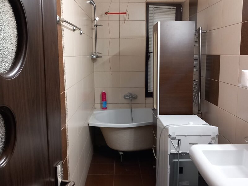 Berceni, Oltenitei, Anton Bacalbasa